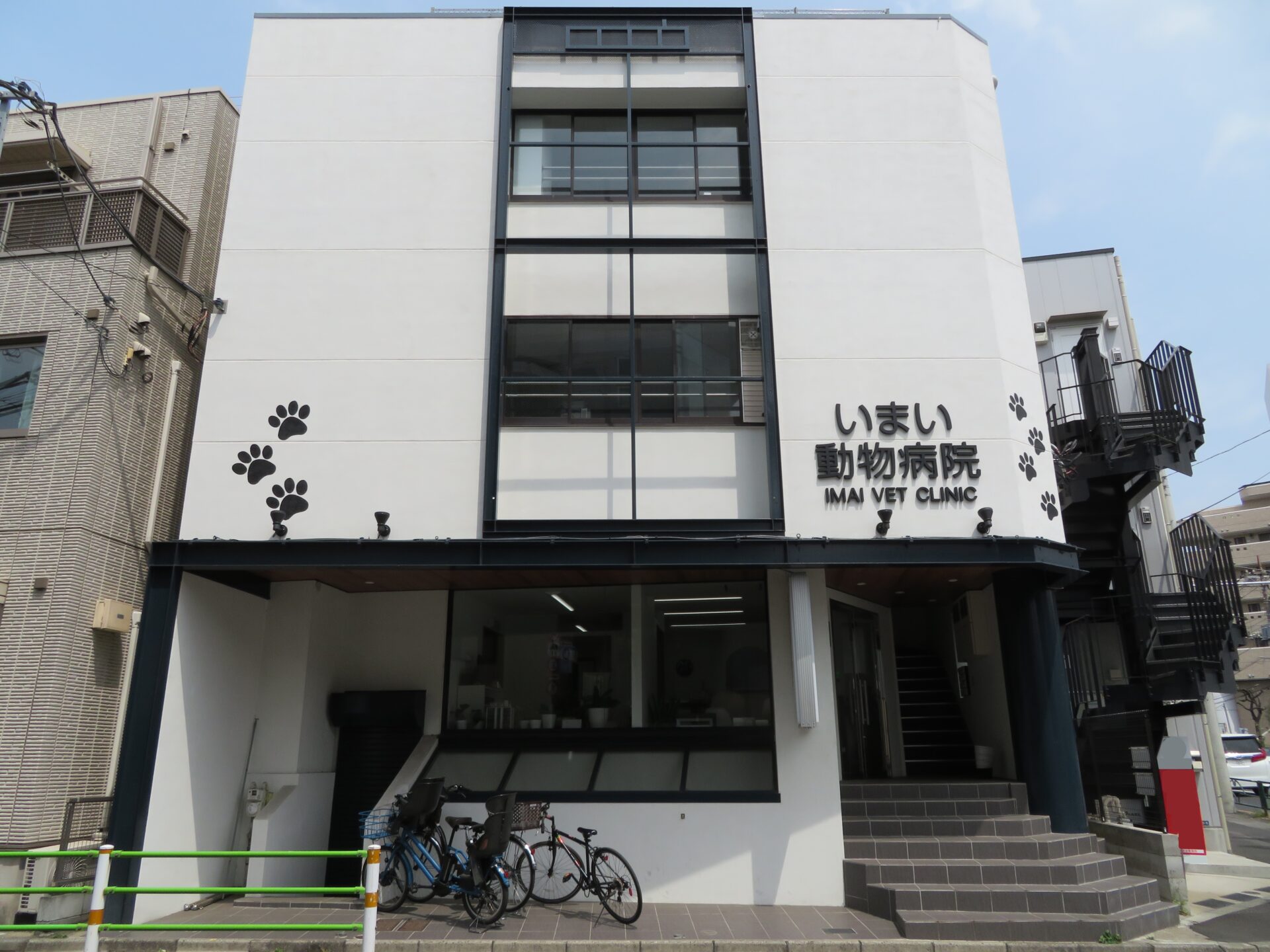 いまい 動物 病院